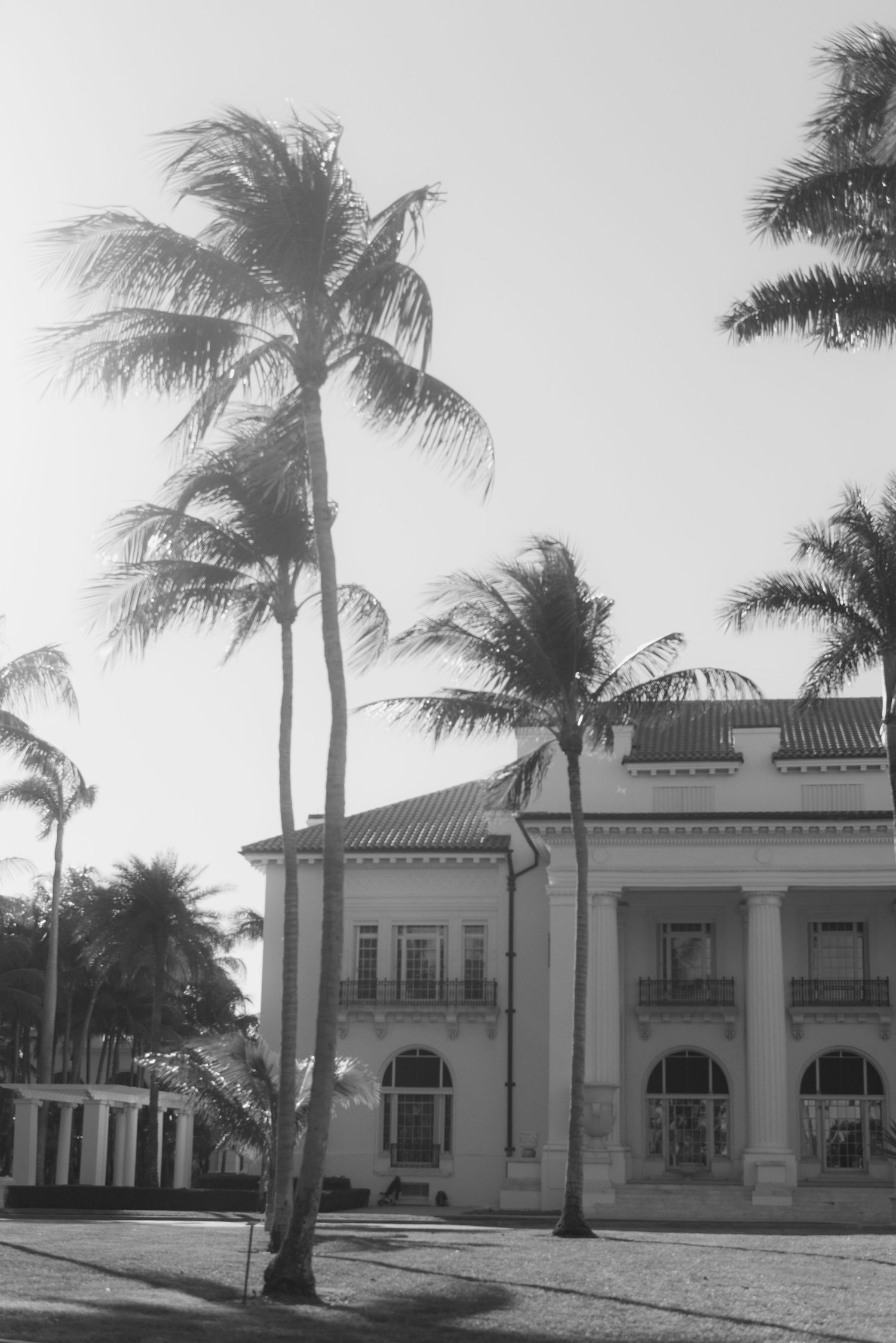 Spanish colonial style building with palm trees swaying against a bright sky in black and white.