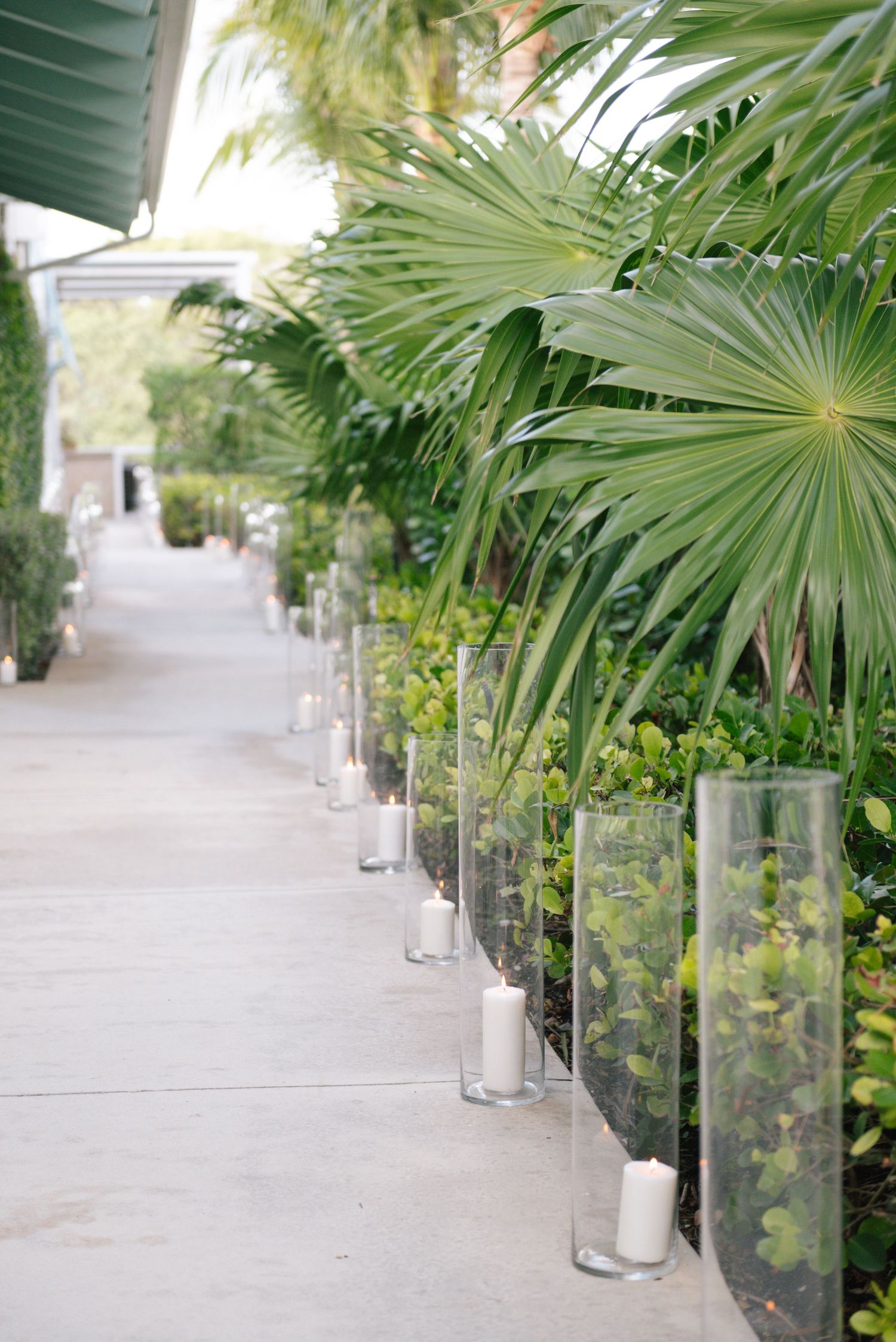 Glass vases with candles line a garden pathway beneath tropical palm fronds.