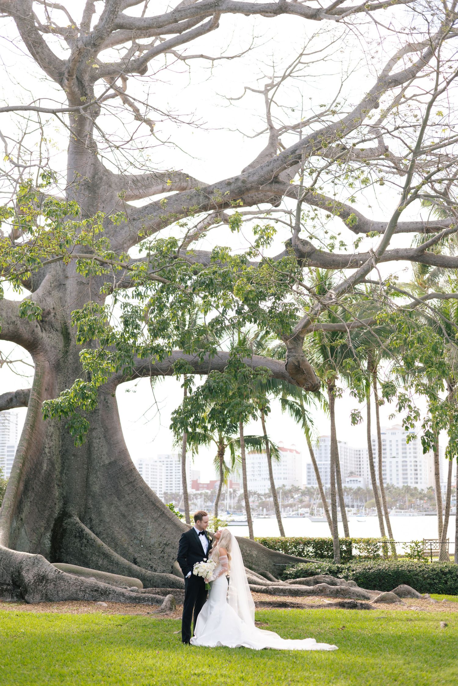 Newlywed couple poses beneath a majestic banyan tree in a scenic waterfront garden setting.