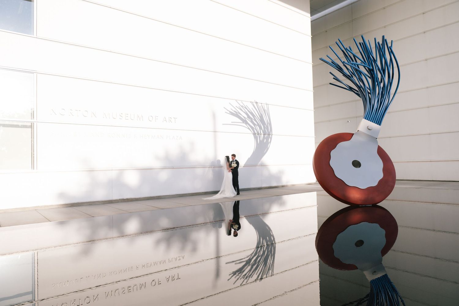 Abstract wall sculptures featuring curved metal forms in red, blue and white colors cast shadows on a white surface.