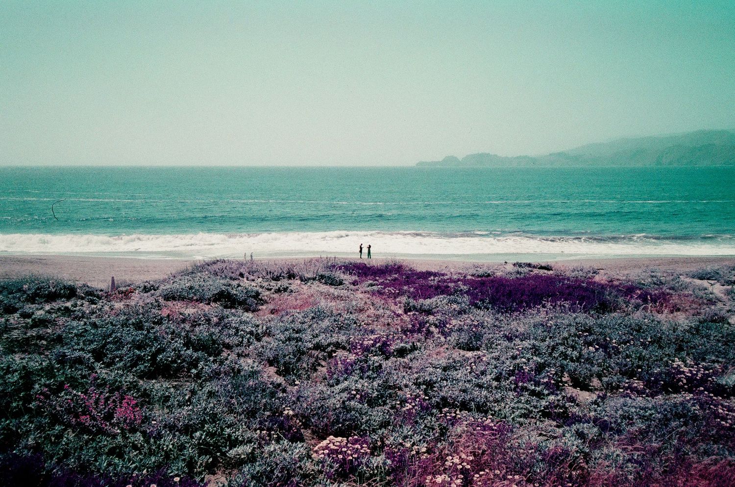 Brooklyn film photographer. Lomography purple film. Brooklyn landscape photographer. San Francisco on film.