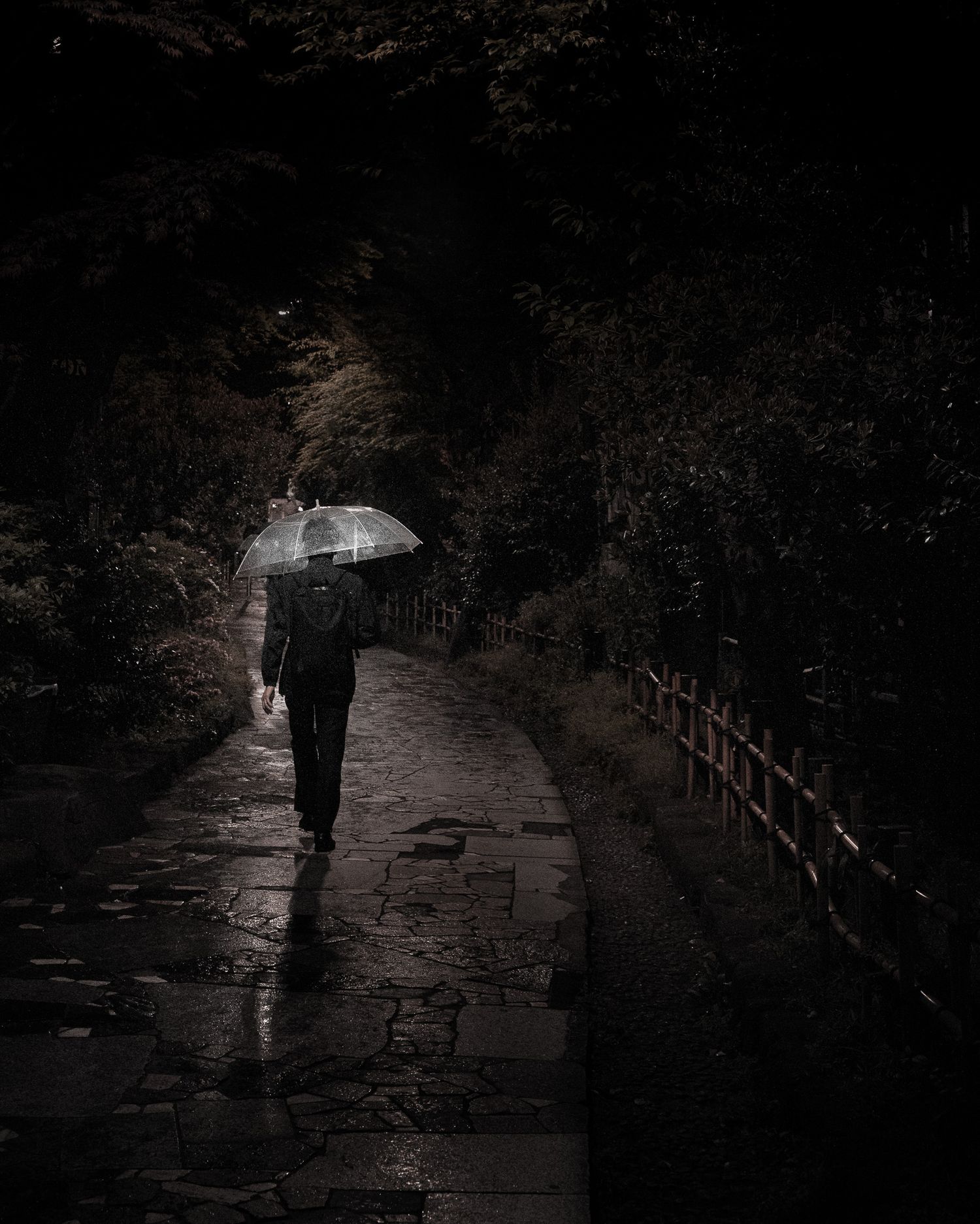 A silhouetted figure walks along a dark wooded path with wooden railings.
