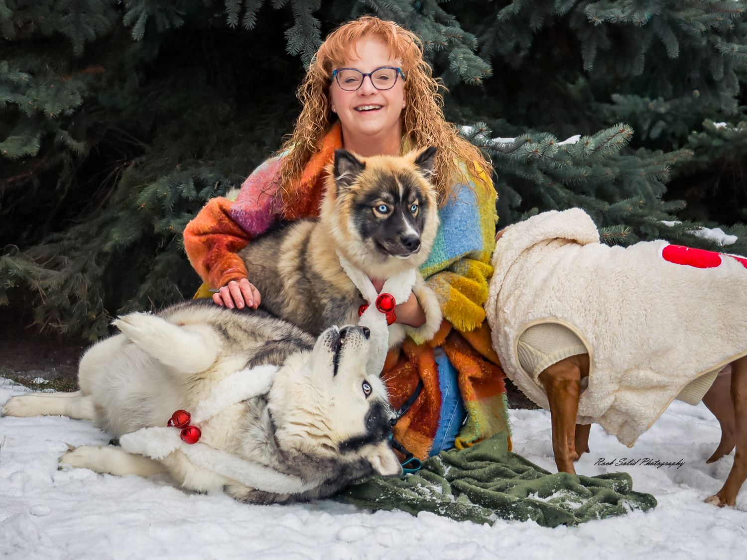 Professional Pet Photography- Bay City, Michigan