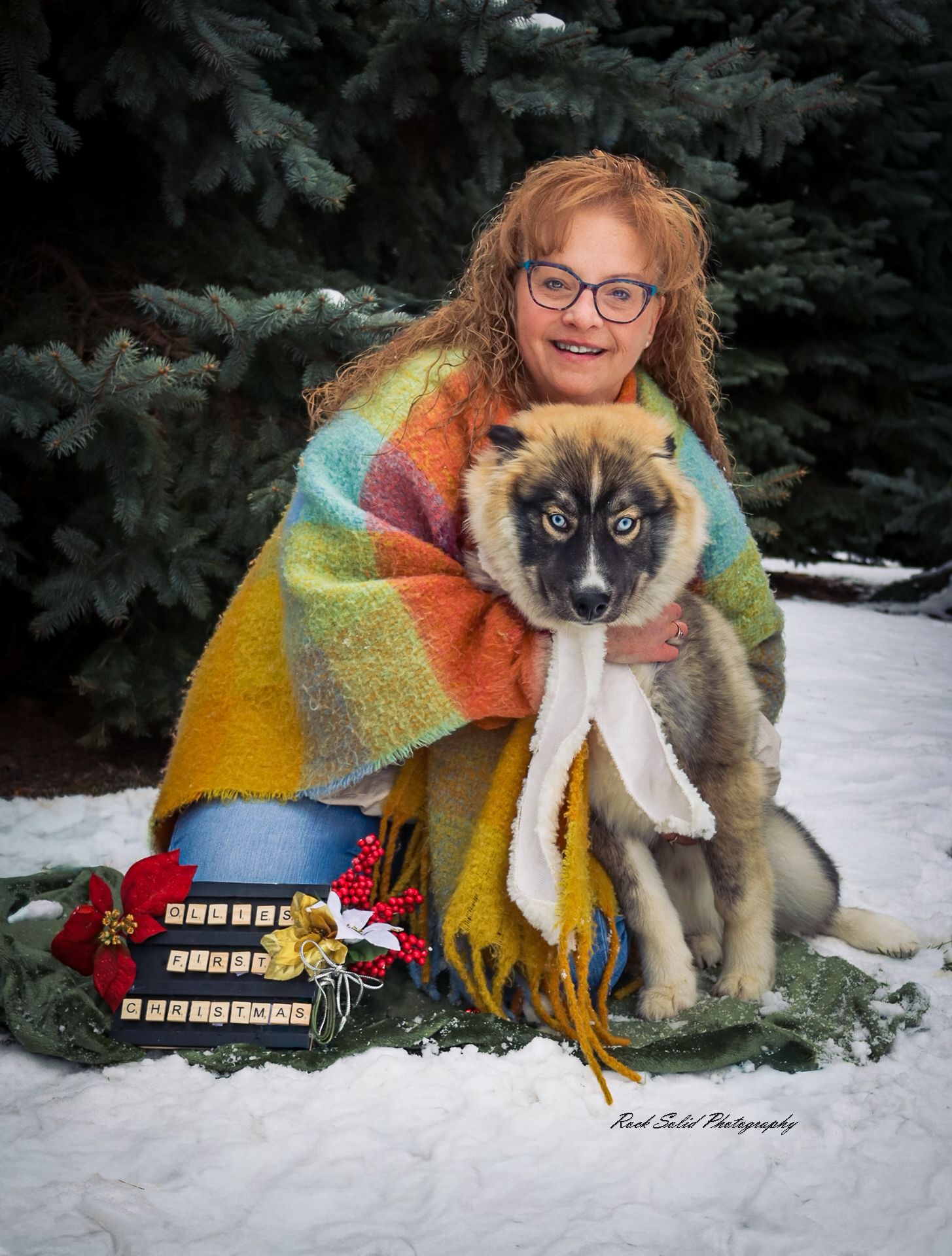 Christmas Fur Baby Photography Session Bay City, Michigan