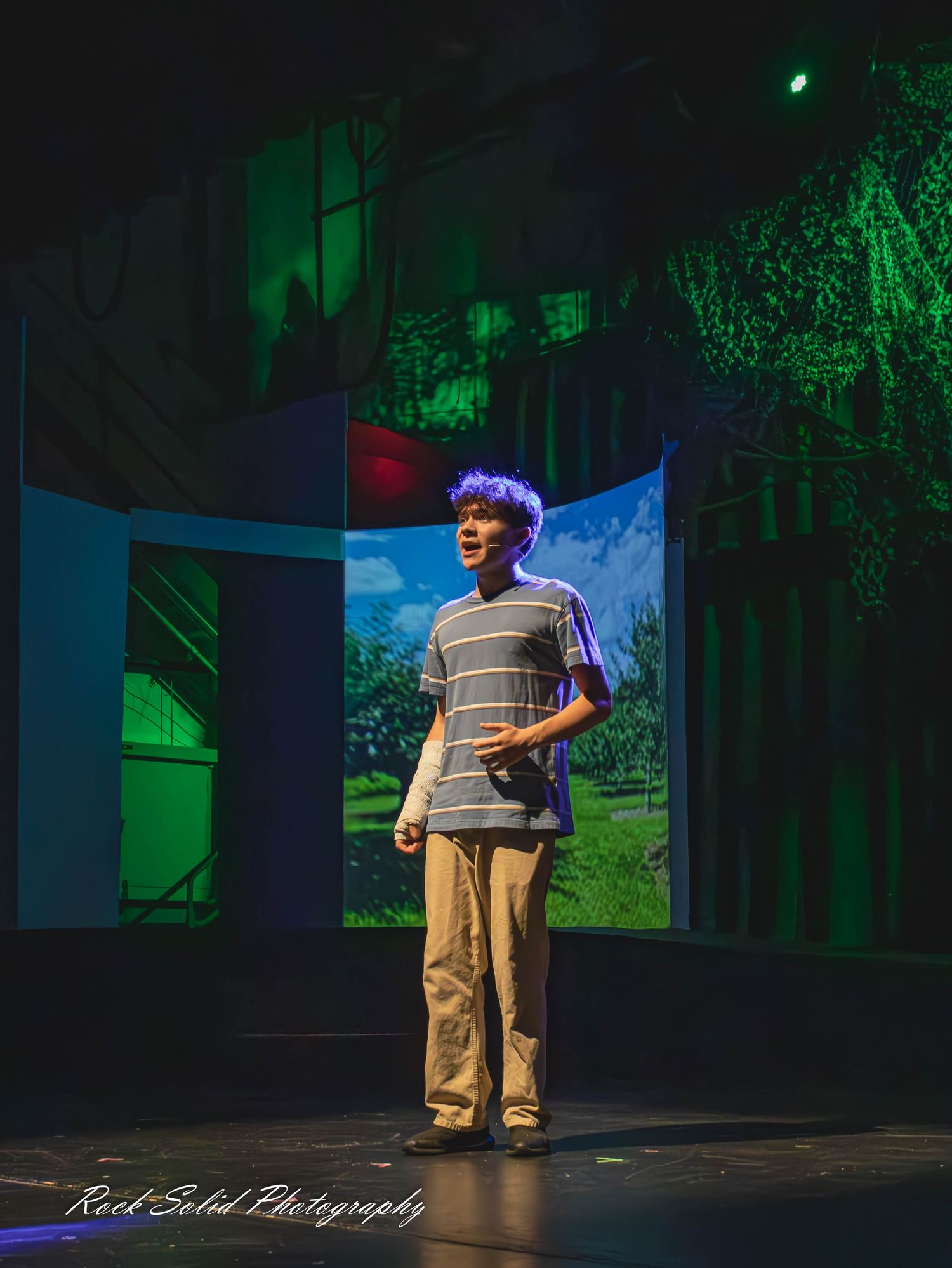 Best Stage and Theater photographer Dear Evan Hansen at Bay City Central.