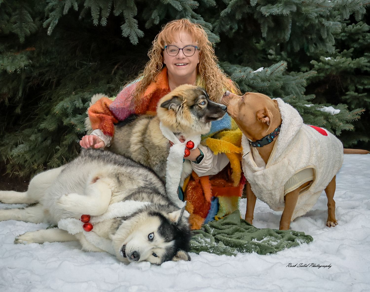 Christmas Fur Baby Photography Session Bay City, Michigan