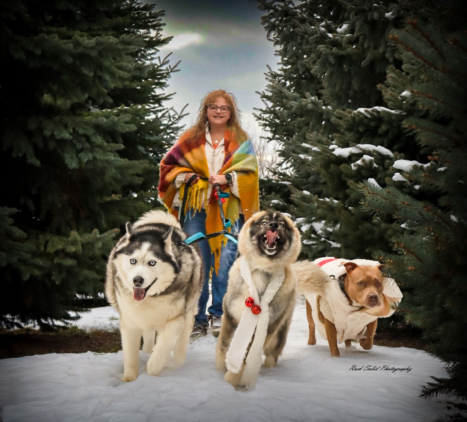 Christmas Fur Baby Photography Session Bay City, Michigan