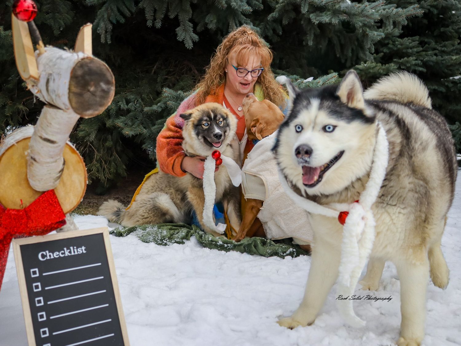 Fine art pet and family photography. View stunning cinematic, outdoors winter wonderland portraits in Bay City, Michigan
