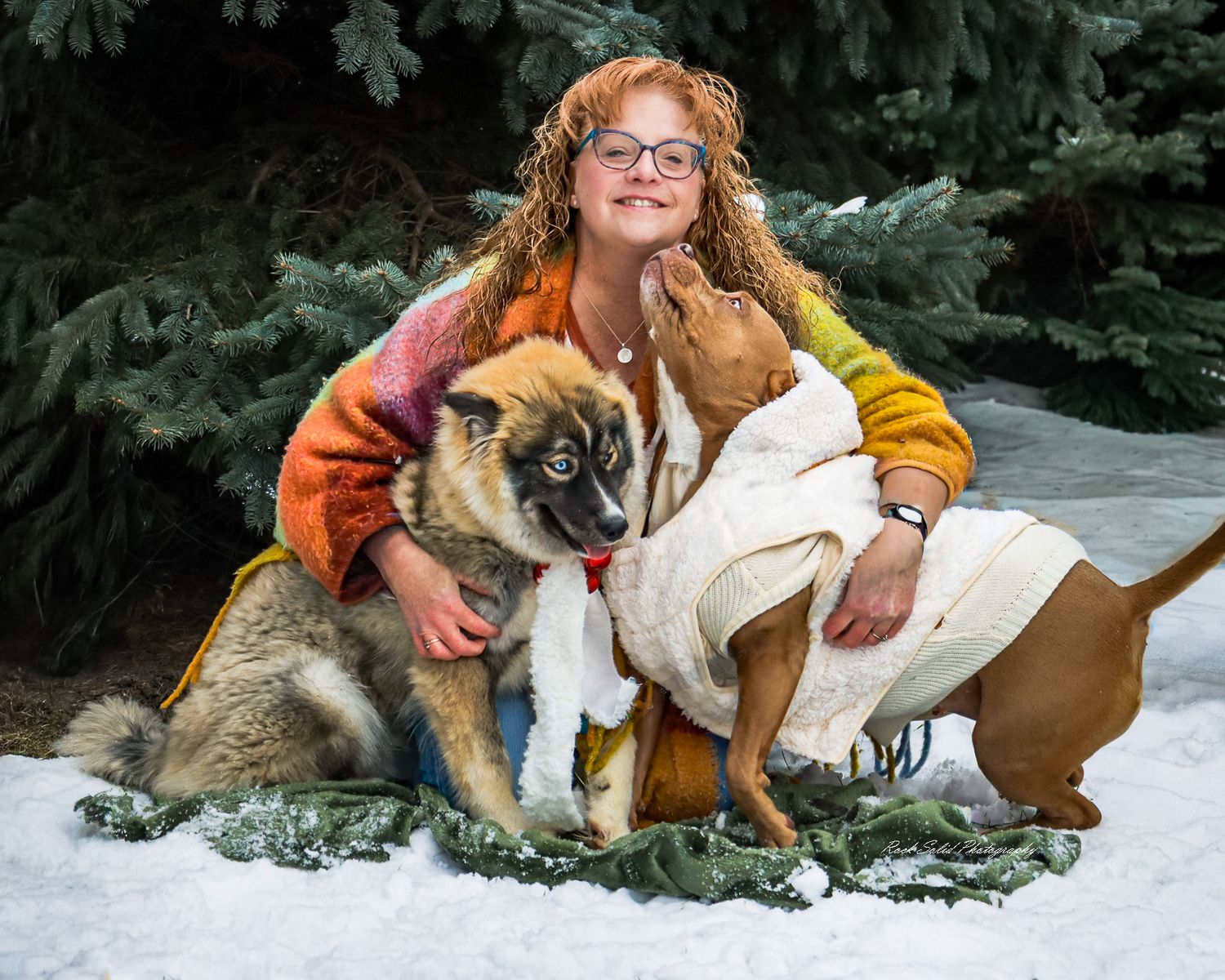 Christmas Fur Baby Photography Session Bay City, Michigan