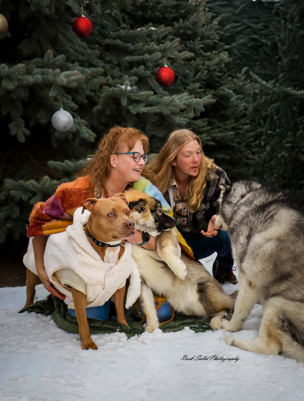 Pups and Family Photography Bay City, Michigan