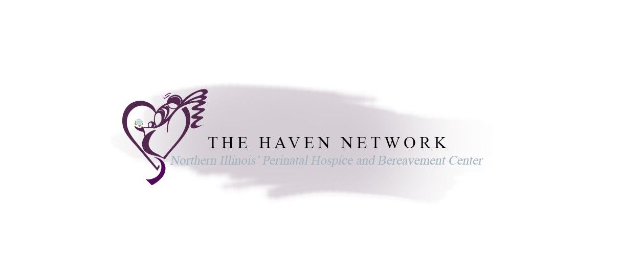 The Haven Network logo featuring a dove and heart design with purple text for a wellness and personal growth center.
