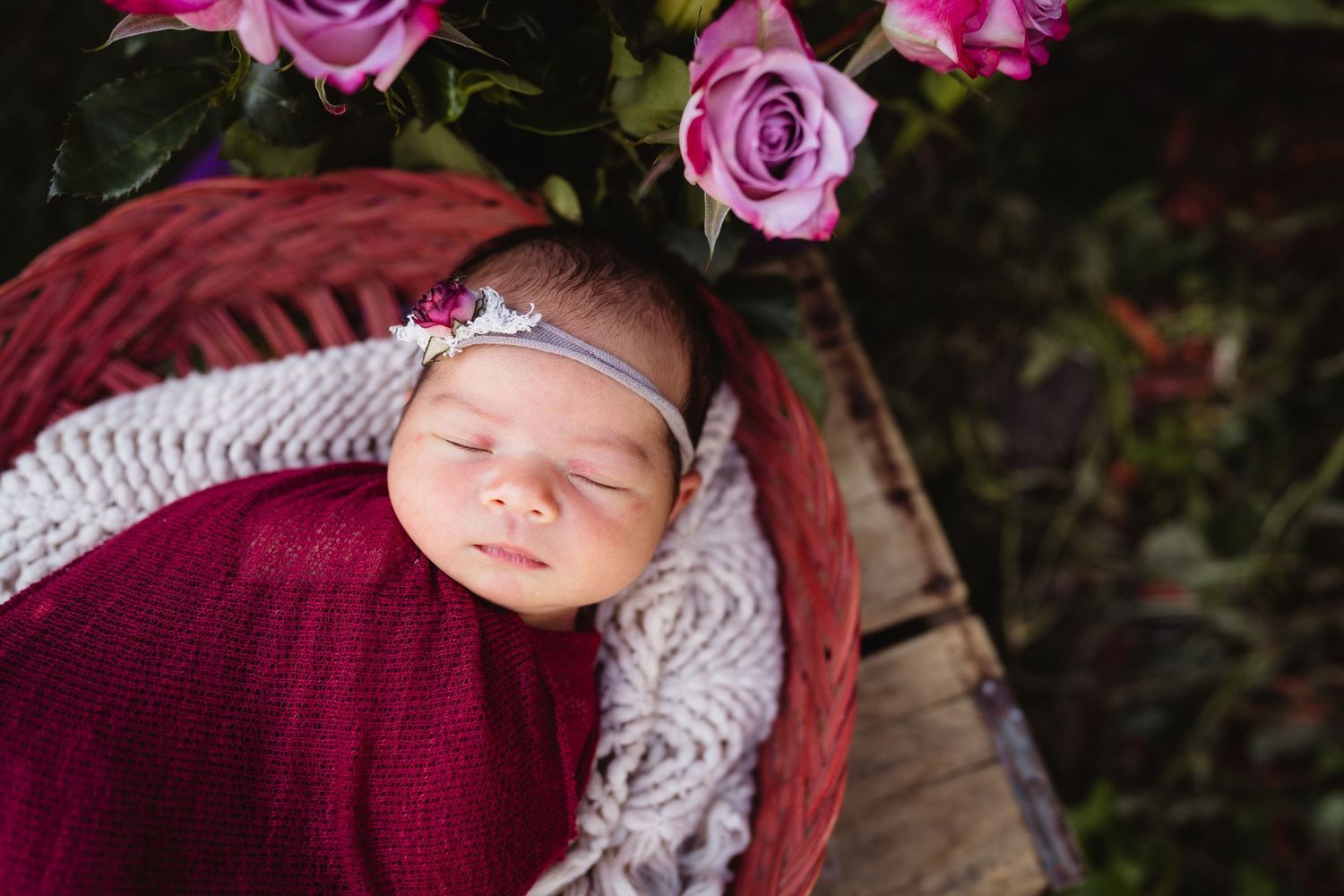 Sleeping newborn baby wrapped in burgundy swaddle wearing a tiny crown headband in a wicker basket with pink roses.