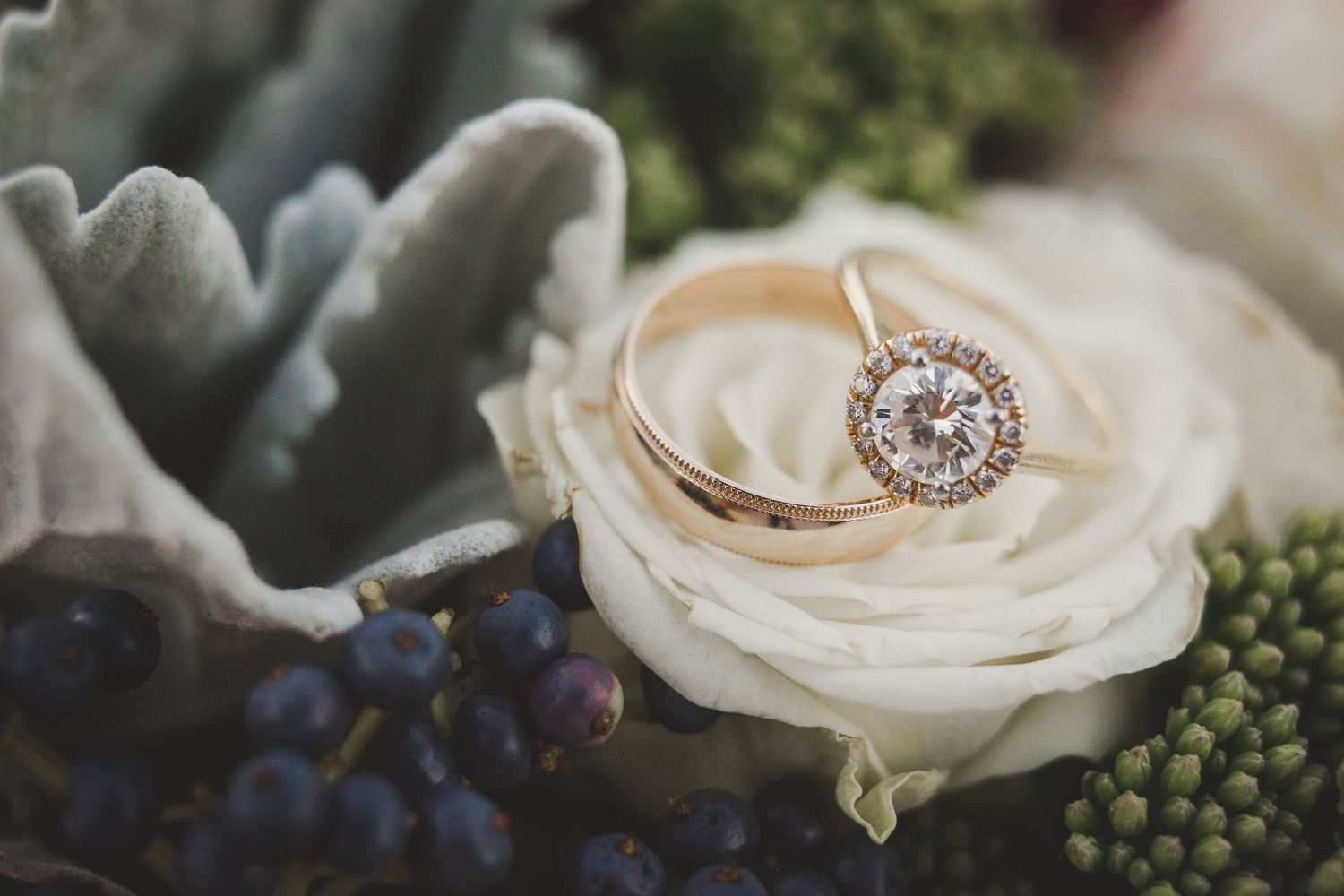 Gold halo diamond engagement ring resting on a white rose with blue berries and succulents in a bridal bouquet.