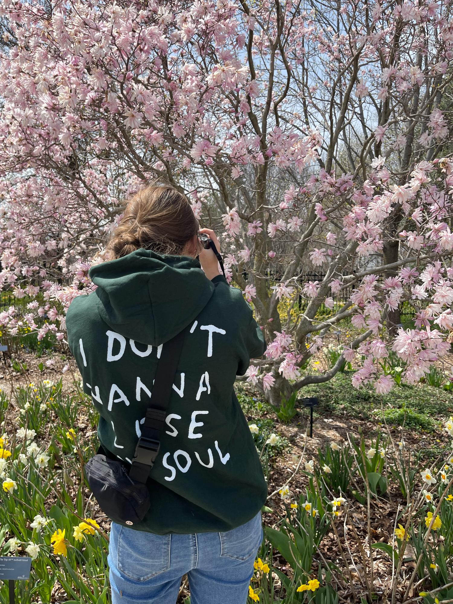 Cherry blossoms blooming over someone wearing a dark green sweater in a spring garden.