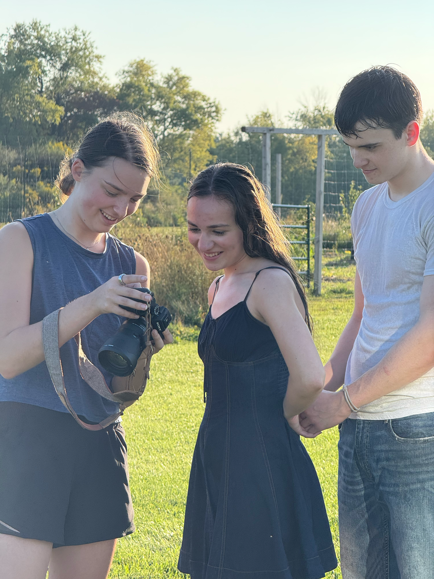 A series of playful moments with a small puppy outdoors in a grassy field.