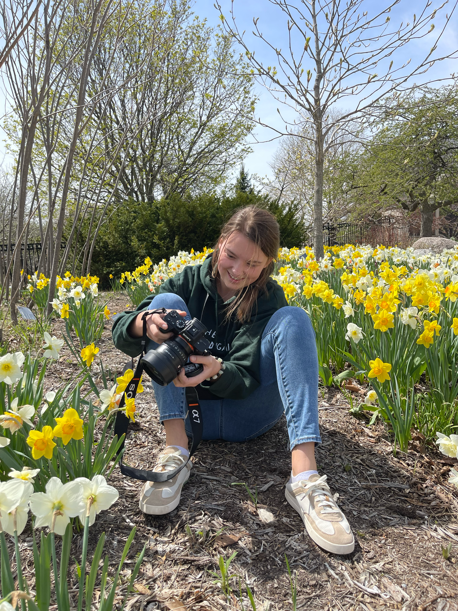 Photographer capturing close-up shots of yellow daffodils in a spring garden.