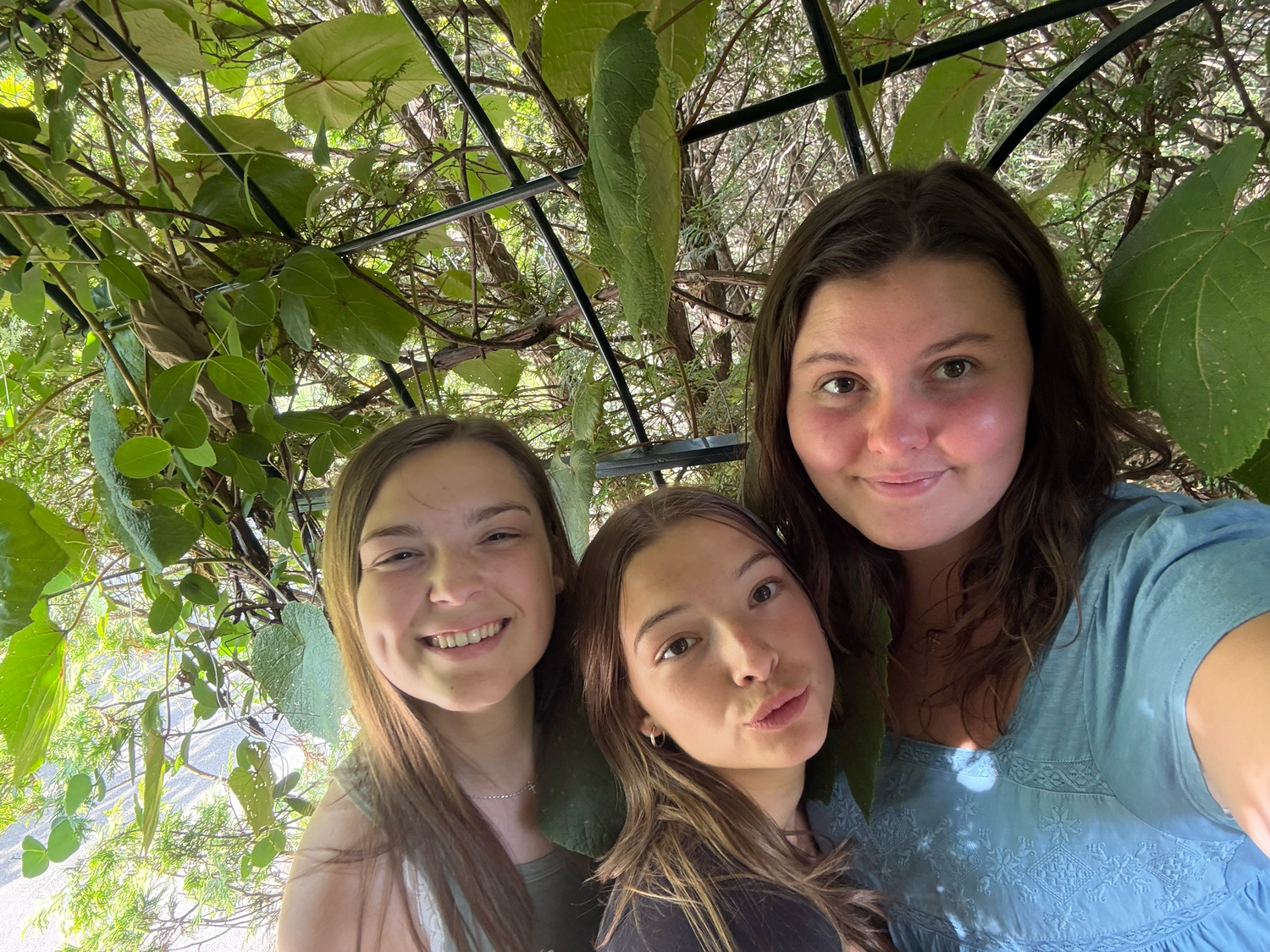 Friends gather under leafy green branches for a summer photo.