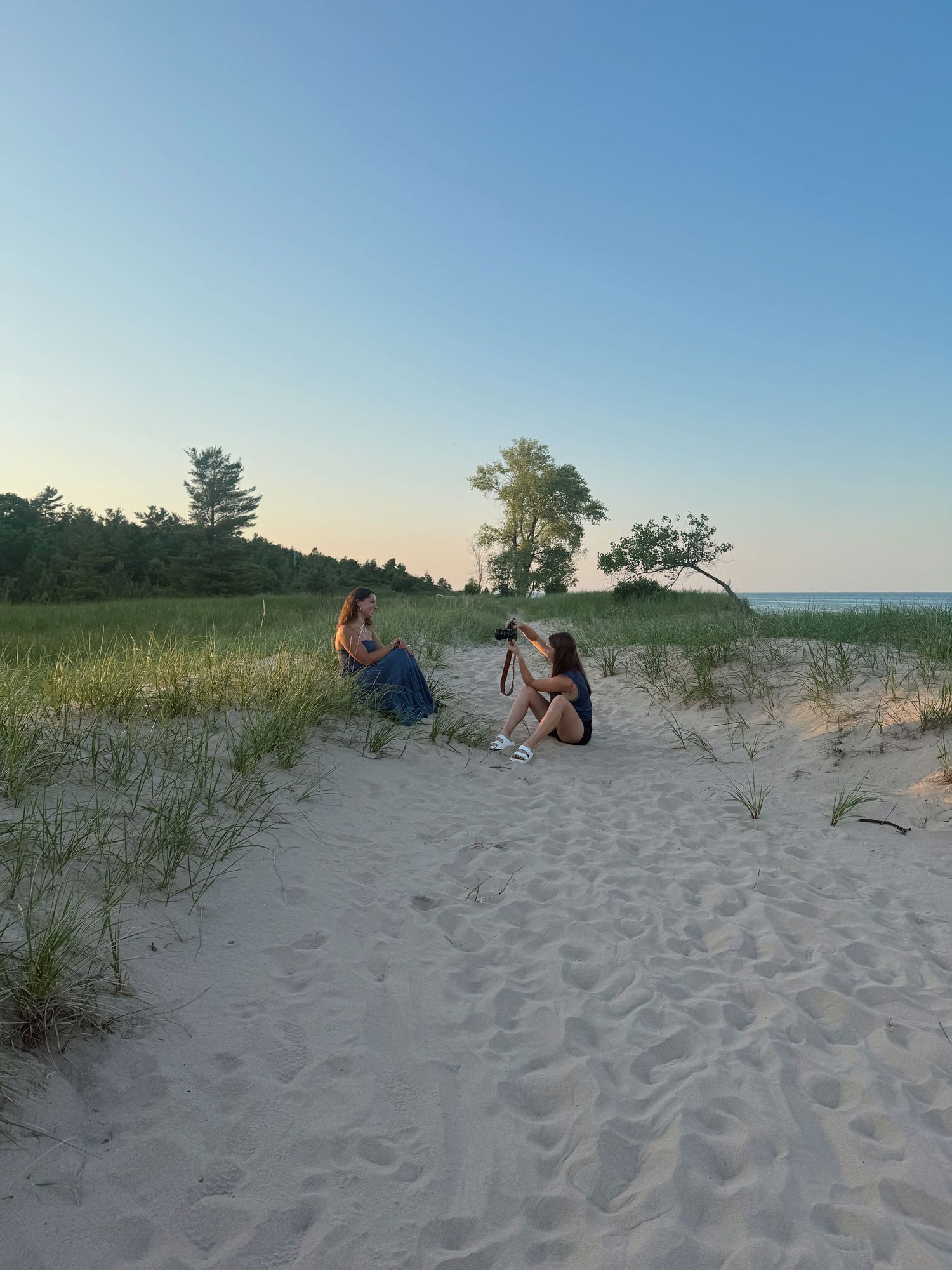 Sandy beach dunes with grass and trees against clear blue sky at sunset.