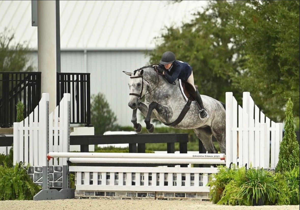Hunter/Jumper equestrian horse show photography at The World Equestrian Center taken on assignment for Andrew Ryback photography.