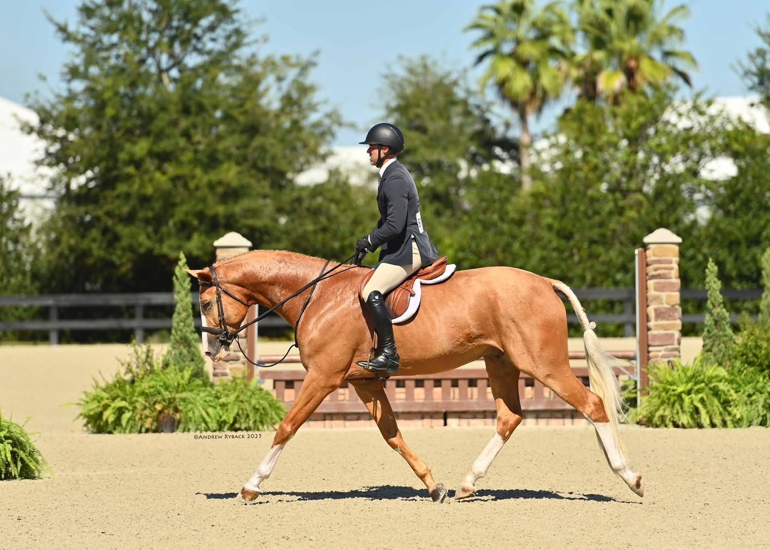 Hunter/Jumper equestrian horse show photography at The World Equestrian Center taken on assignment for Andrew Ryback photography.