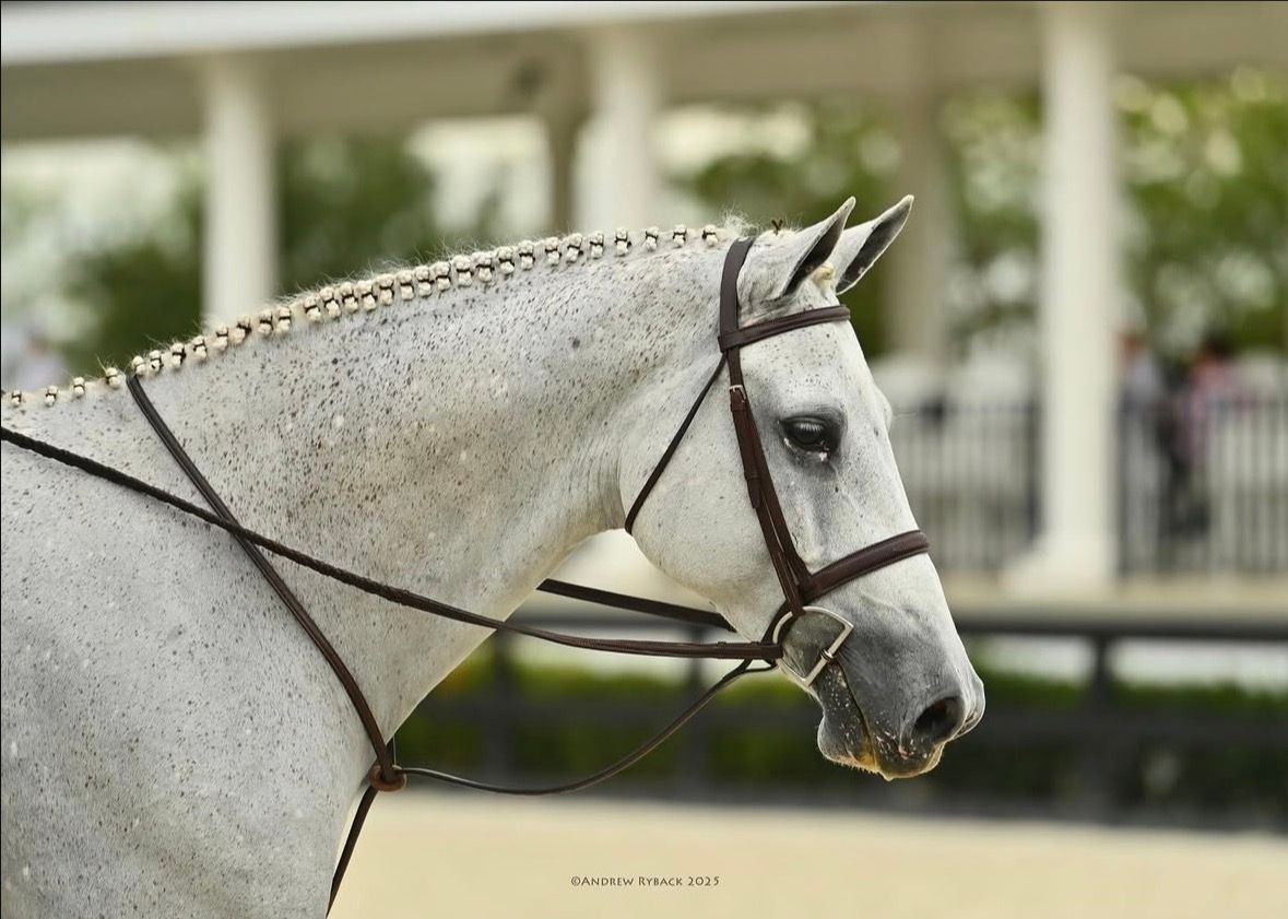 Taken on assignment for Andrew Ryback Photography