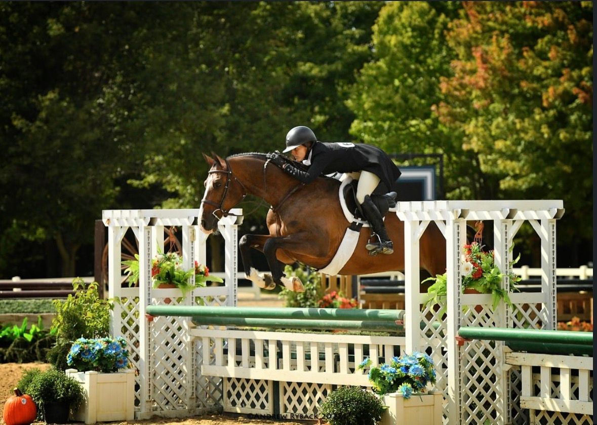 Hunter/Jumper equestrian horse show photography at HITS Chicago taken on assignment for Andrew Ryback photography.