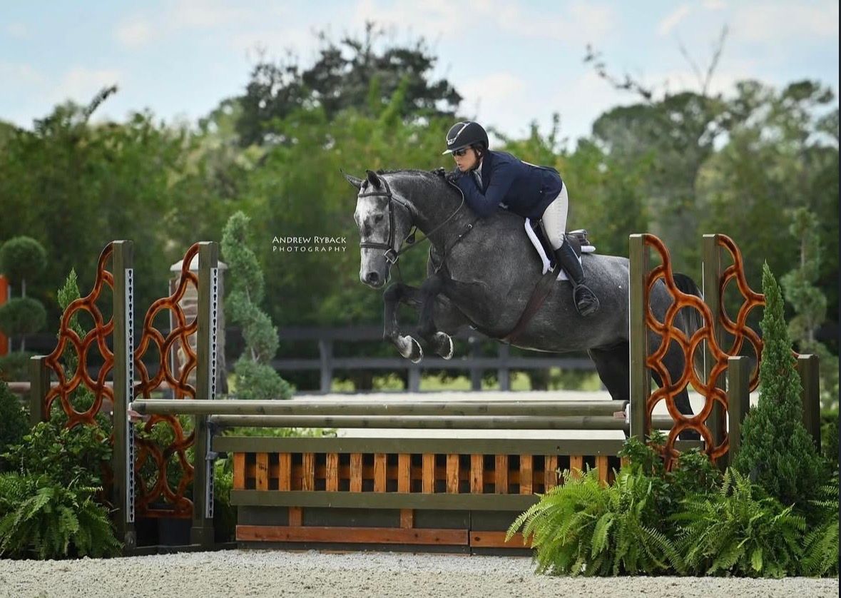 Hunter/Jumper equestrian horse show photography at The World Equestrian Center taken on assignment for Andrew Ryback photography.