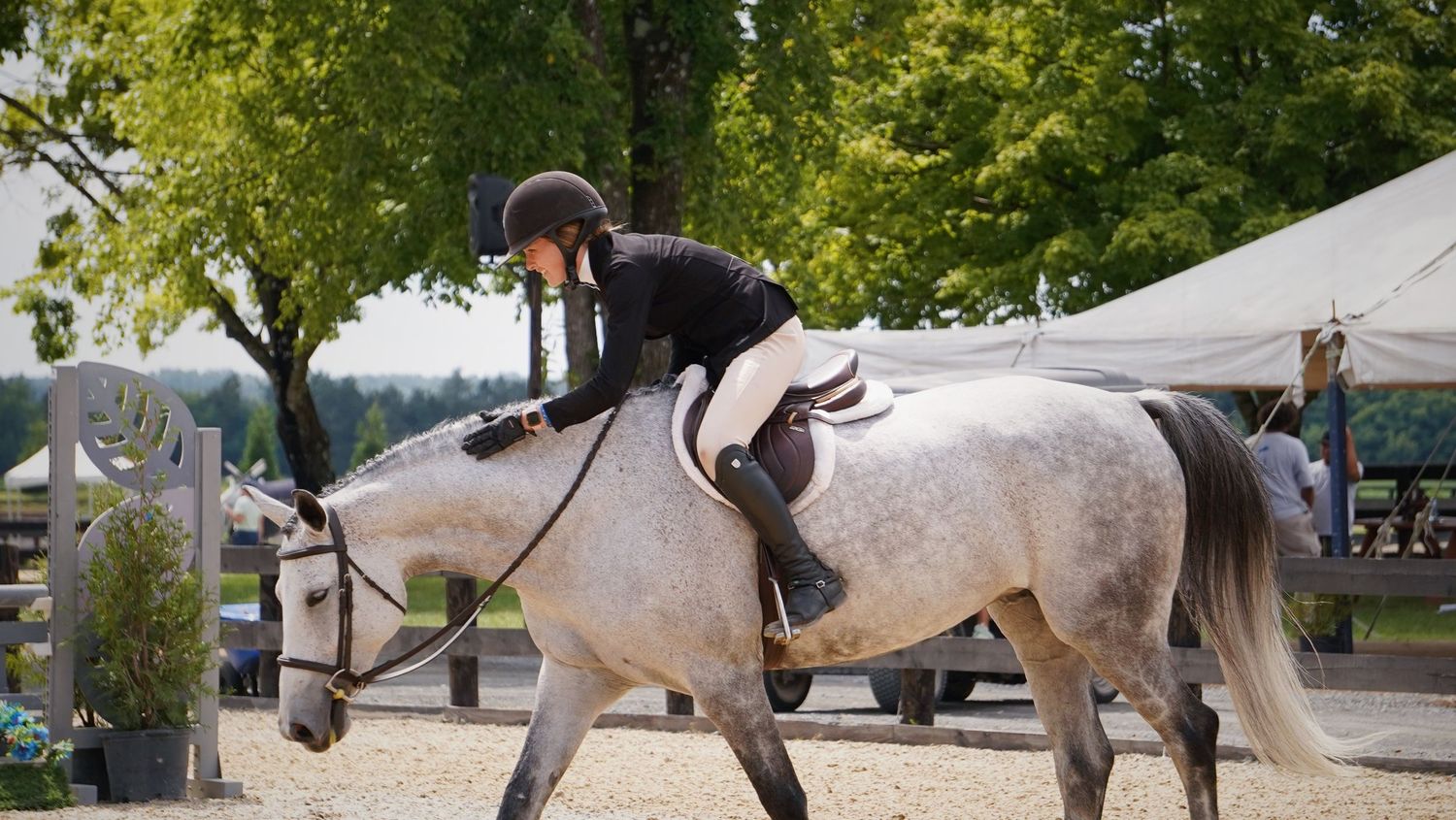 Hunter/Jumper equestrian horse show photography at HITS Culpeper