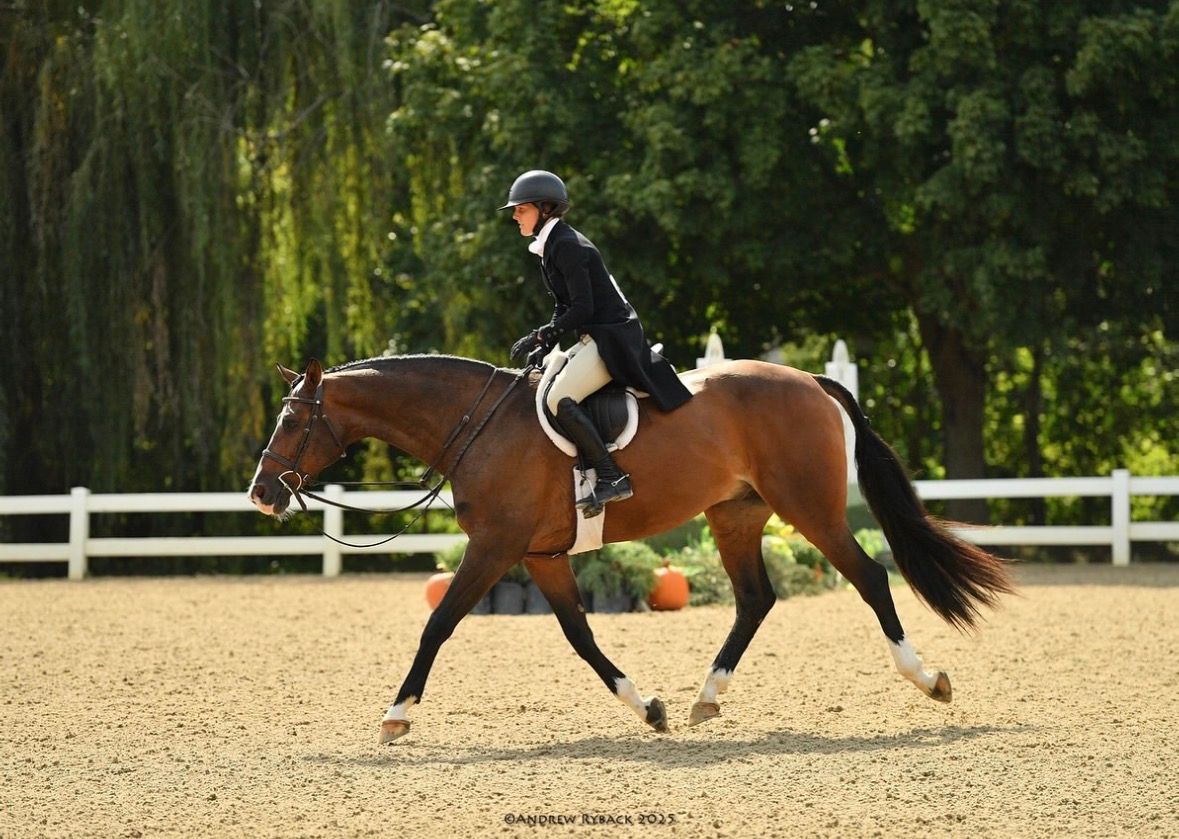 Hunter/Jumper equestrian horse show photography at HITS Chicago taken on assignment for Andrew Ryback photography.