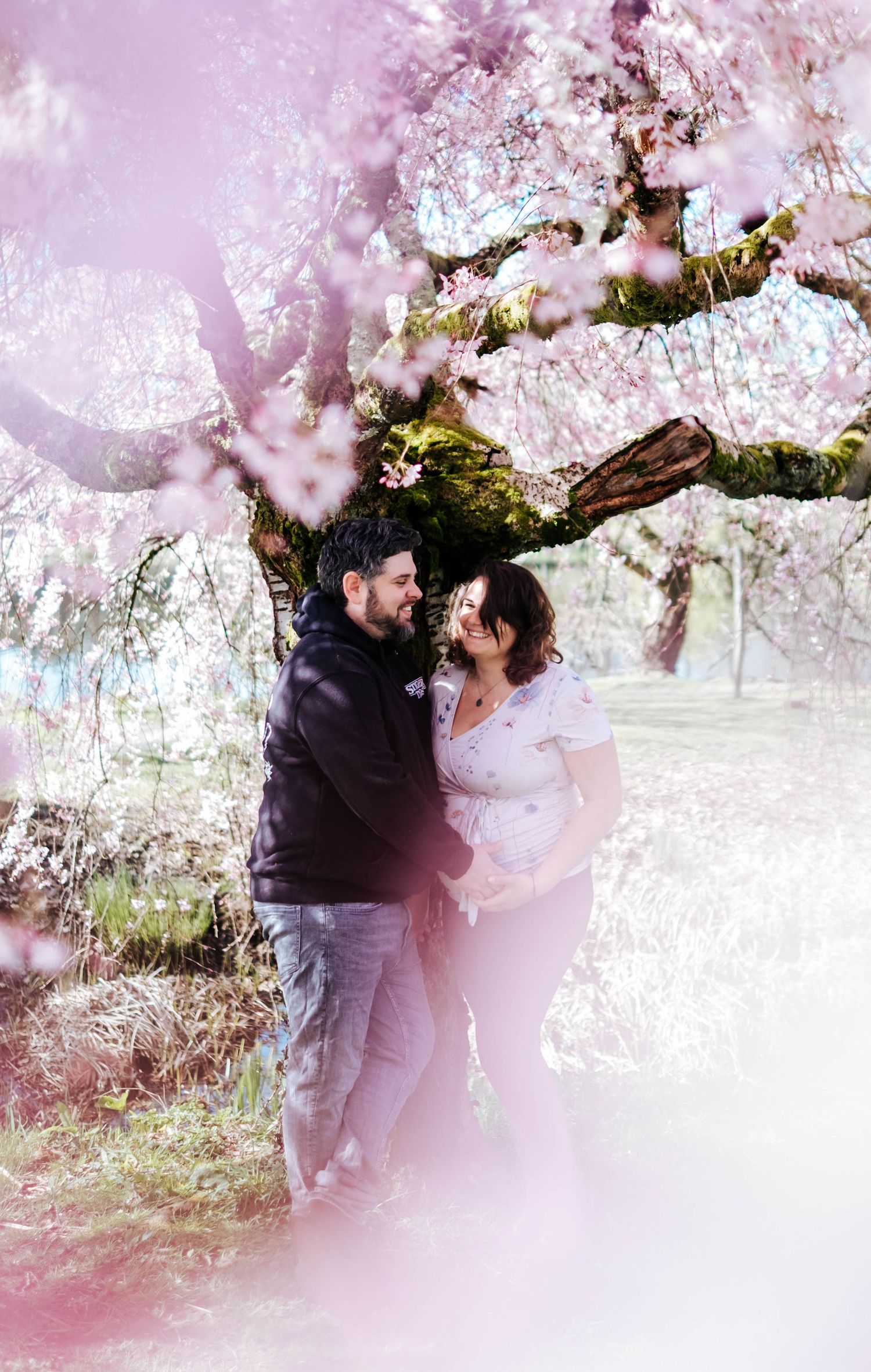 A couple shares a romantic moment under blooming cherry blossom trees in springtime.