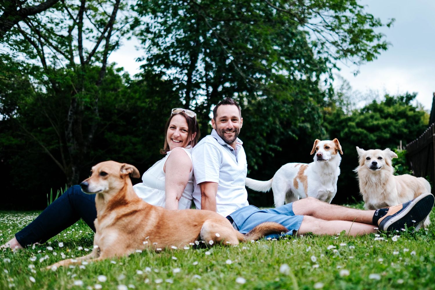 A happy couple sits on green grass with three dogs in a park surrounded by lush trees.