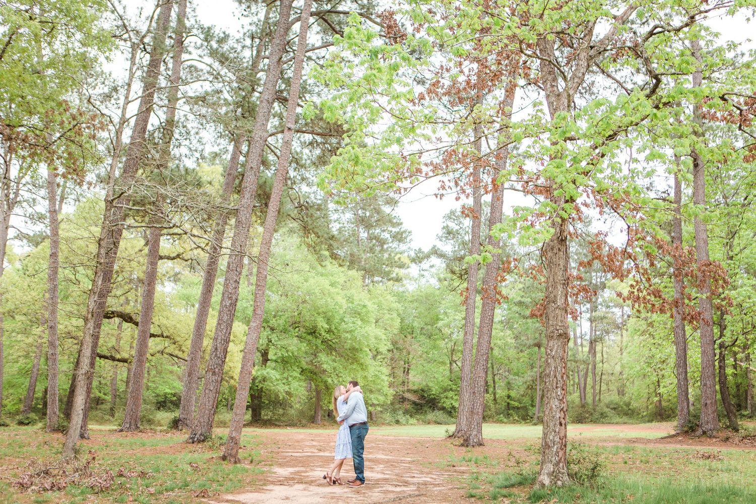 A tree-lined path creates a romantic setting for an outdoor photoshoot.