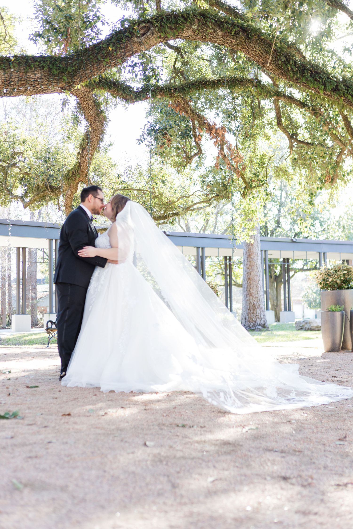 Wedding couple share intimate moment under dreamy oak trees in natural outdoor setting.