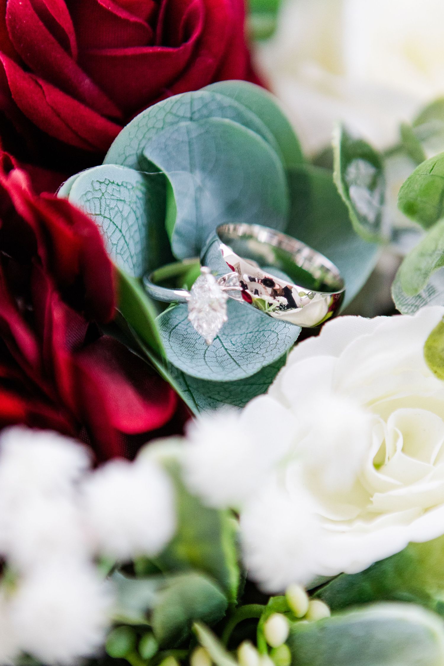 Wedding ring detail shot nestled among red and white roses with green eucalyptus leaves.