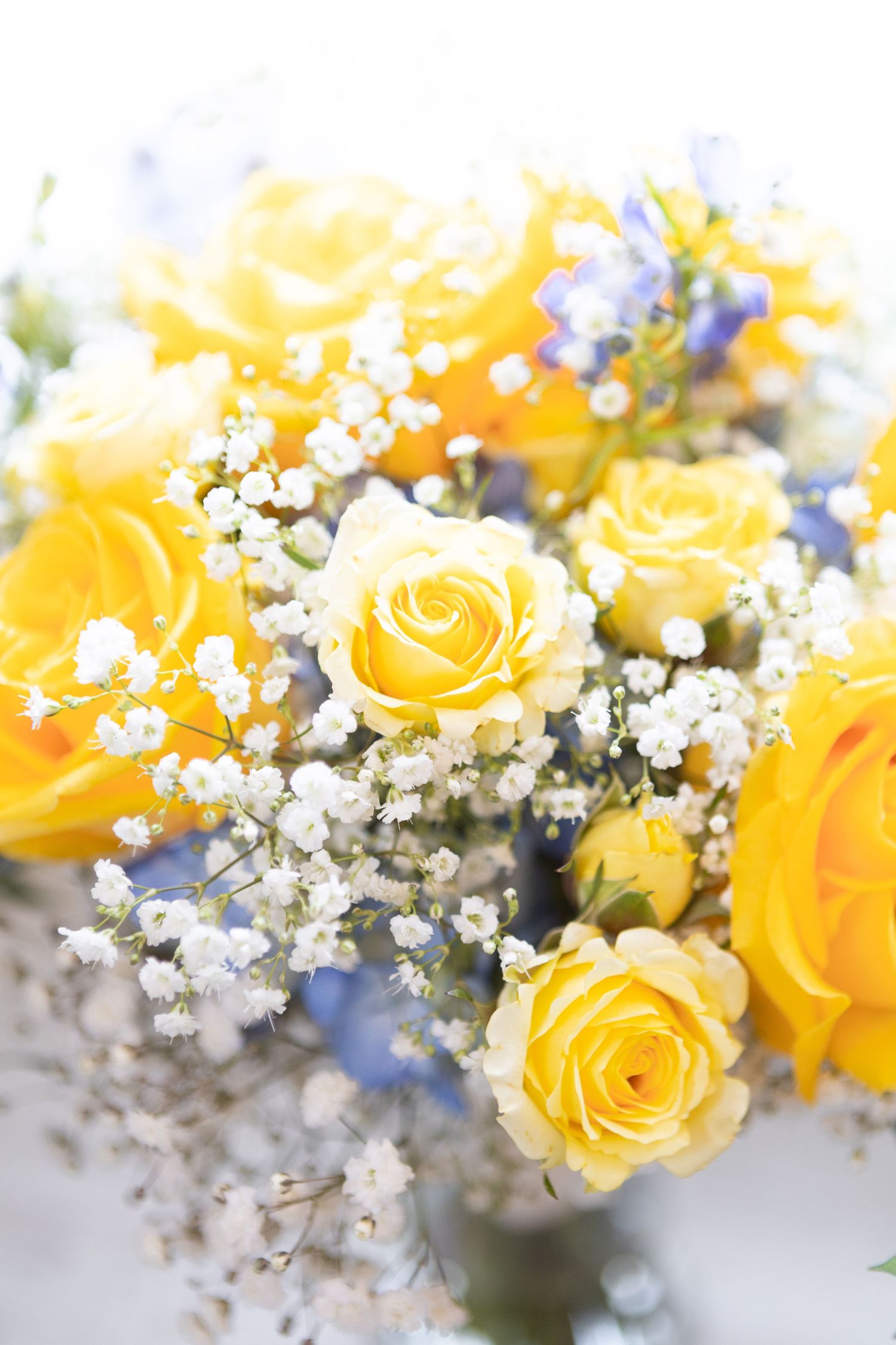 Romantic yellow roses and baby's breath bouquet arrangement in soft focus detail.