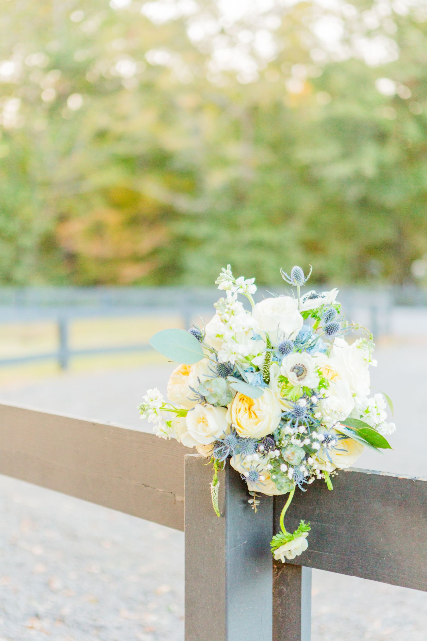 Delicate floral arrangements with white and blue flowers on wooden benches.