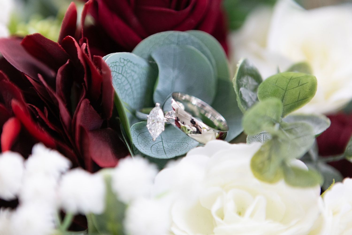 Close up of silver wedding rings displayed on eucalyptus leaves with red roses in background.
