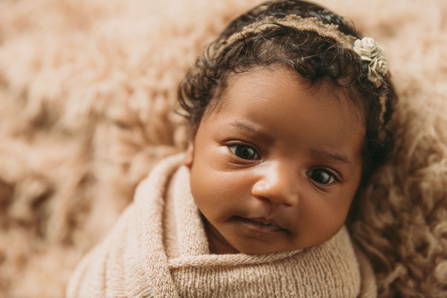 Awake newborn baby girl staring into camera during portrait session with Tami Harris Photography in Worthington Ohio studio