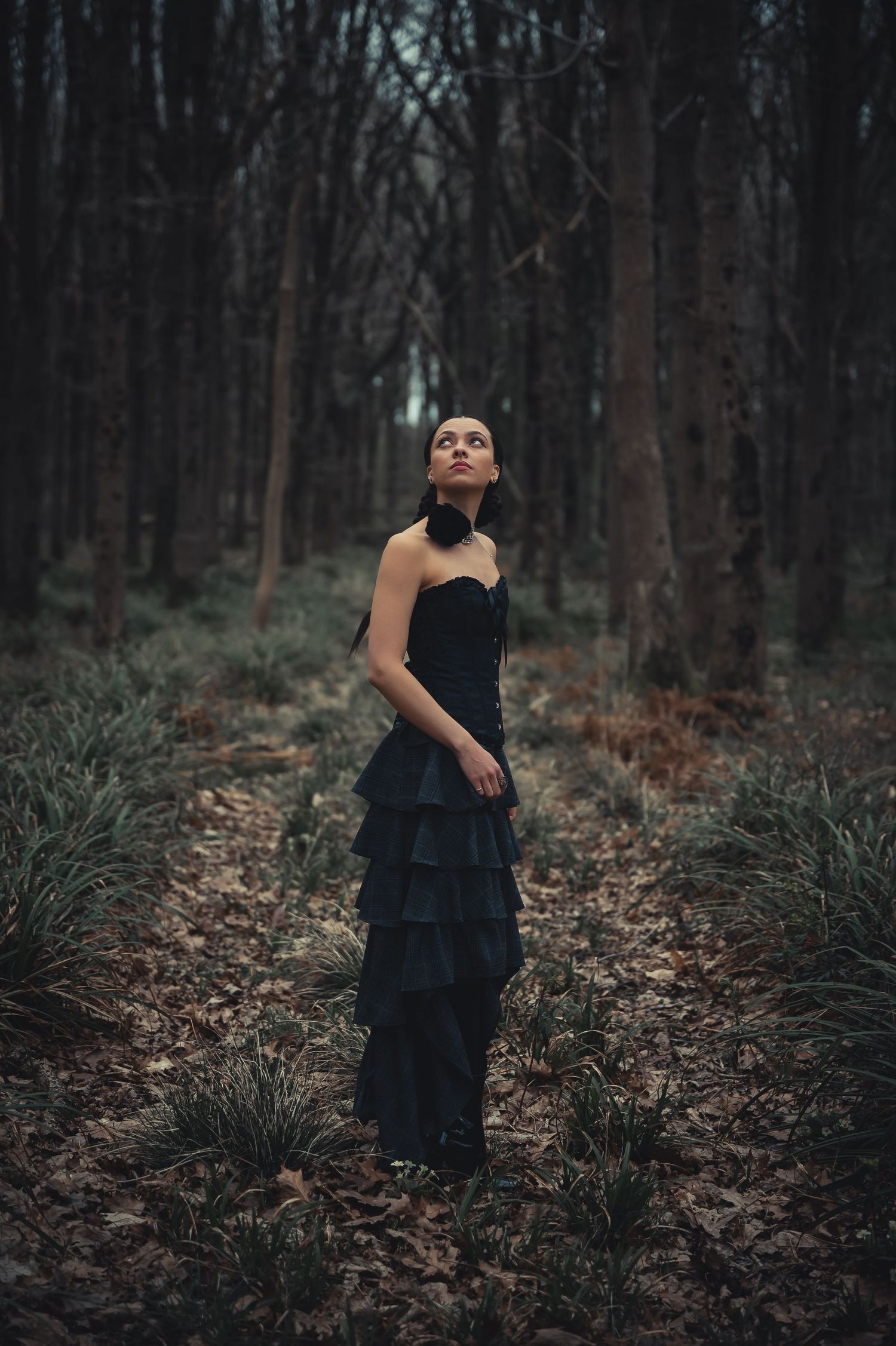 Woman in black strapless gown standing in dark moody forest looking upward.