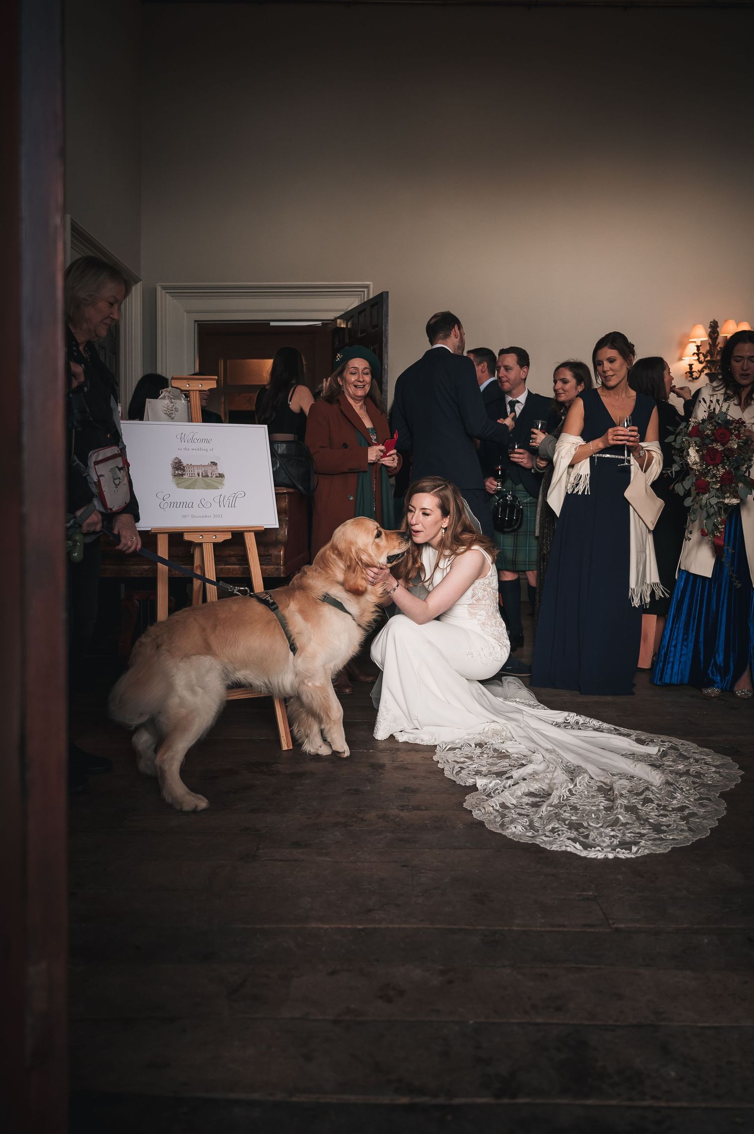 Bride in lace wedding gown kneels to greet a golden retriever at a wedding reception gathering.