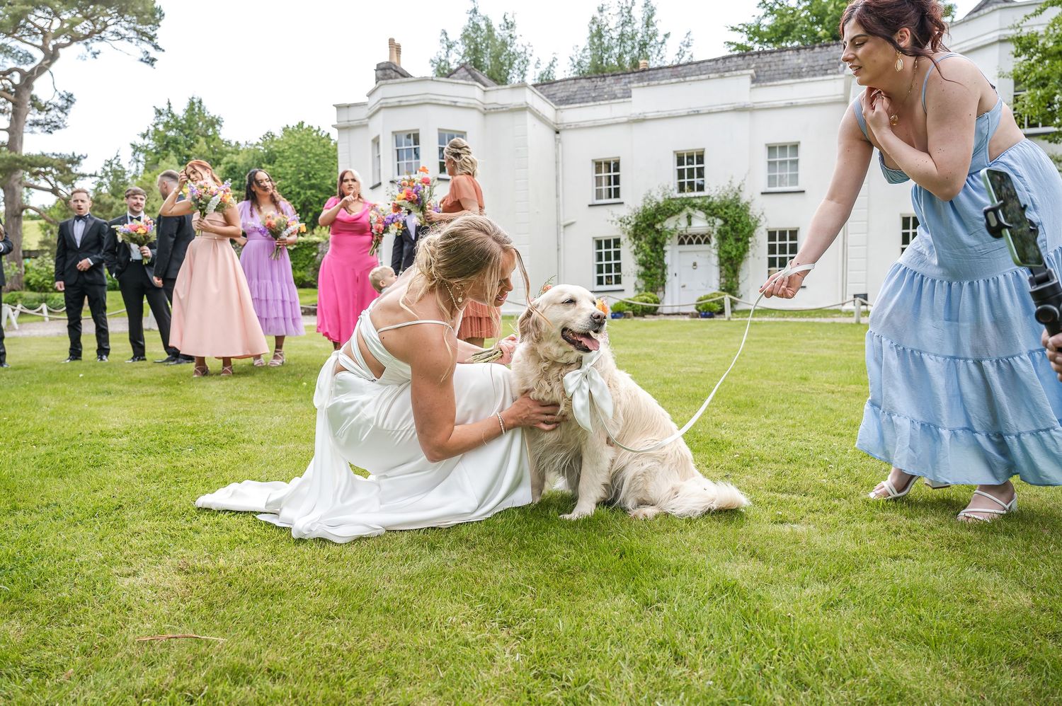 Bride in white gown kneeling on grass petting a golden labrador dog at an outdoor wedding reception.