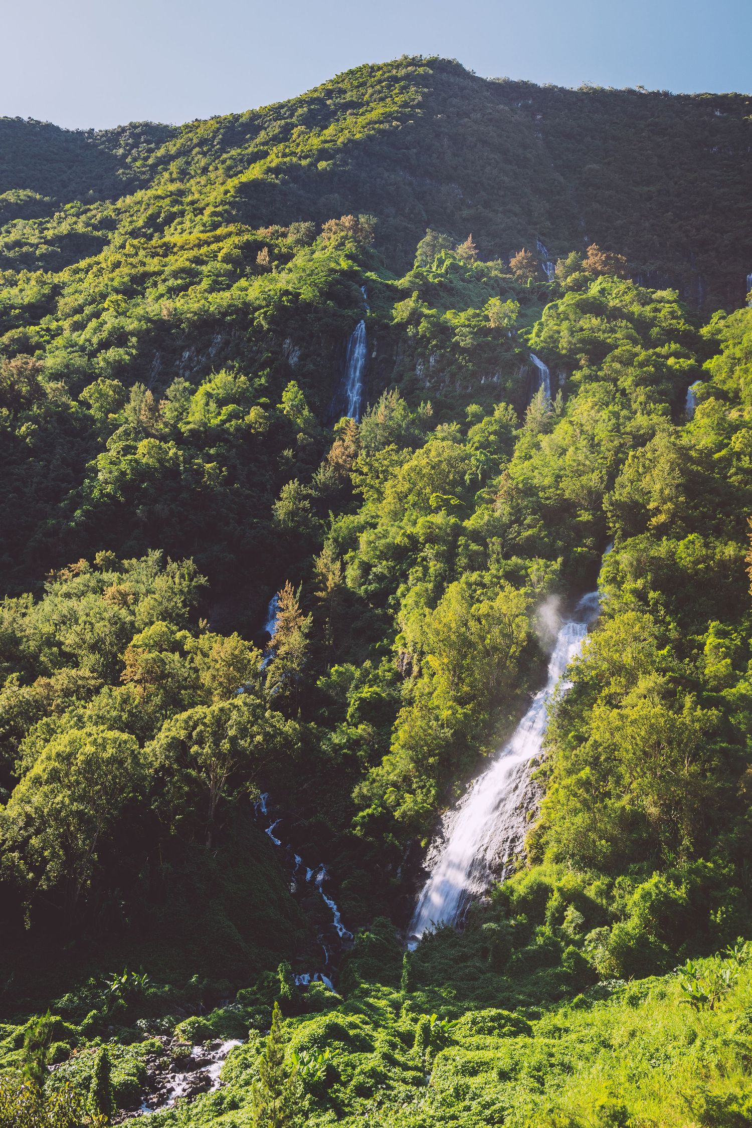 Twin waterfalls cascade down lush green mountainside through tropical forest in Reunion island.