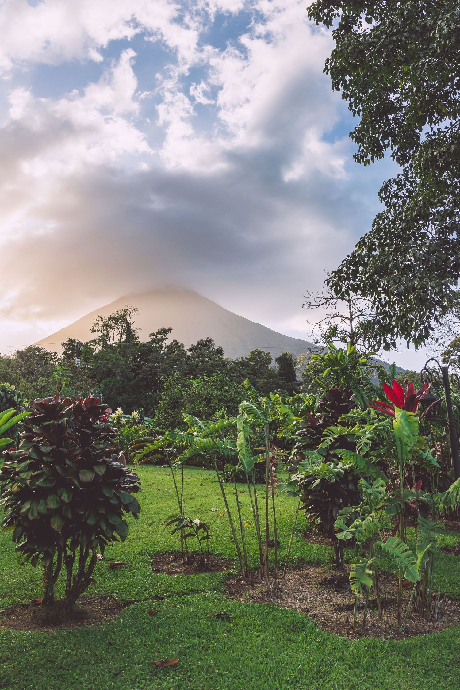 Lush garden with colorful flowers and plants against backdrop of misty volcanic mountain in Costa Rica.