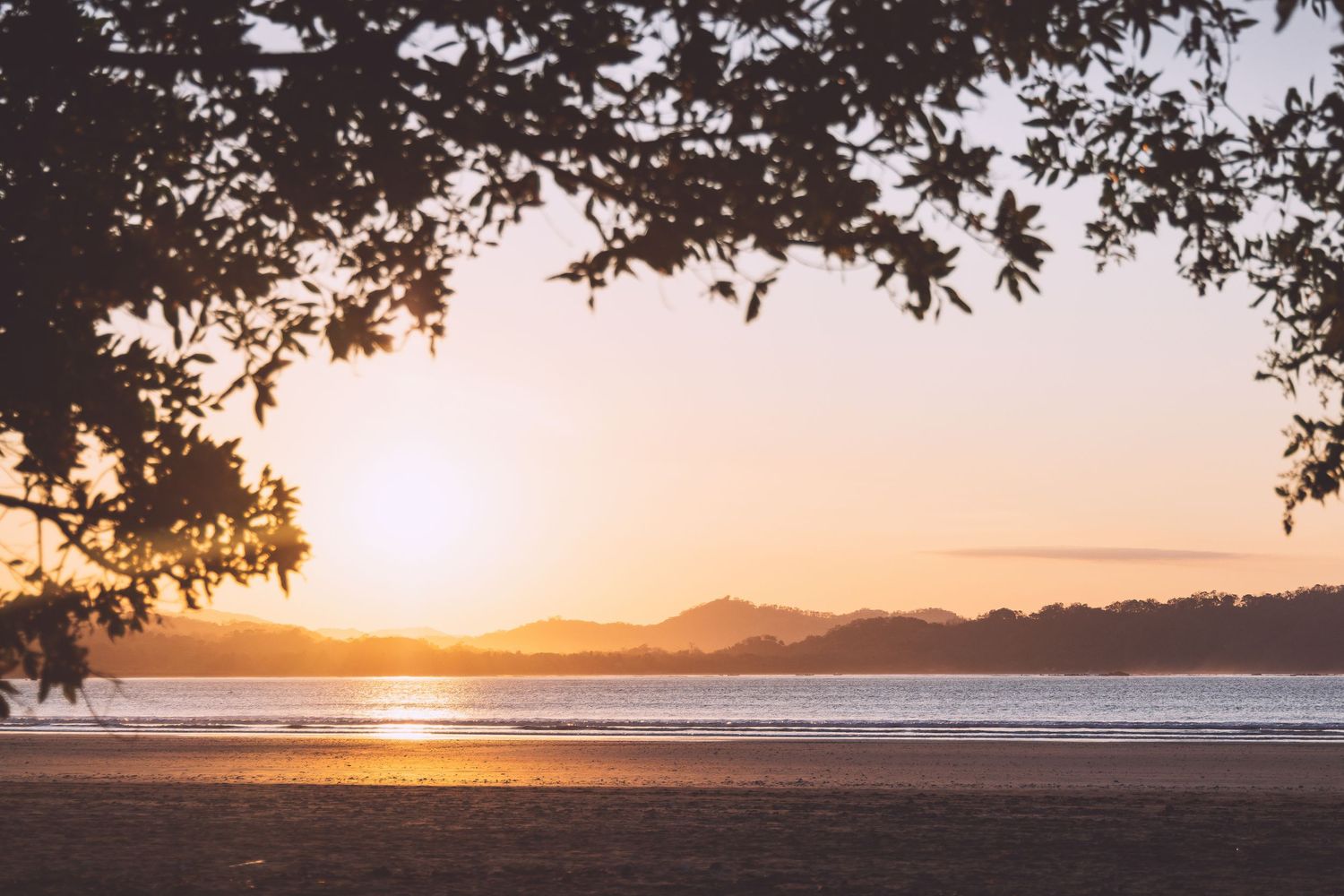 Golden sunset over beach shoreline with tree branches framing the scene in Costa Rica.