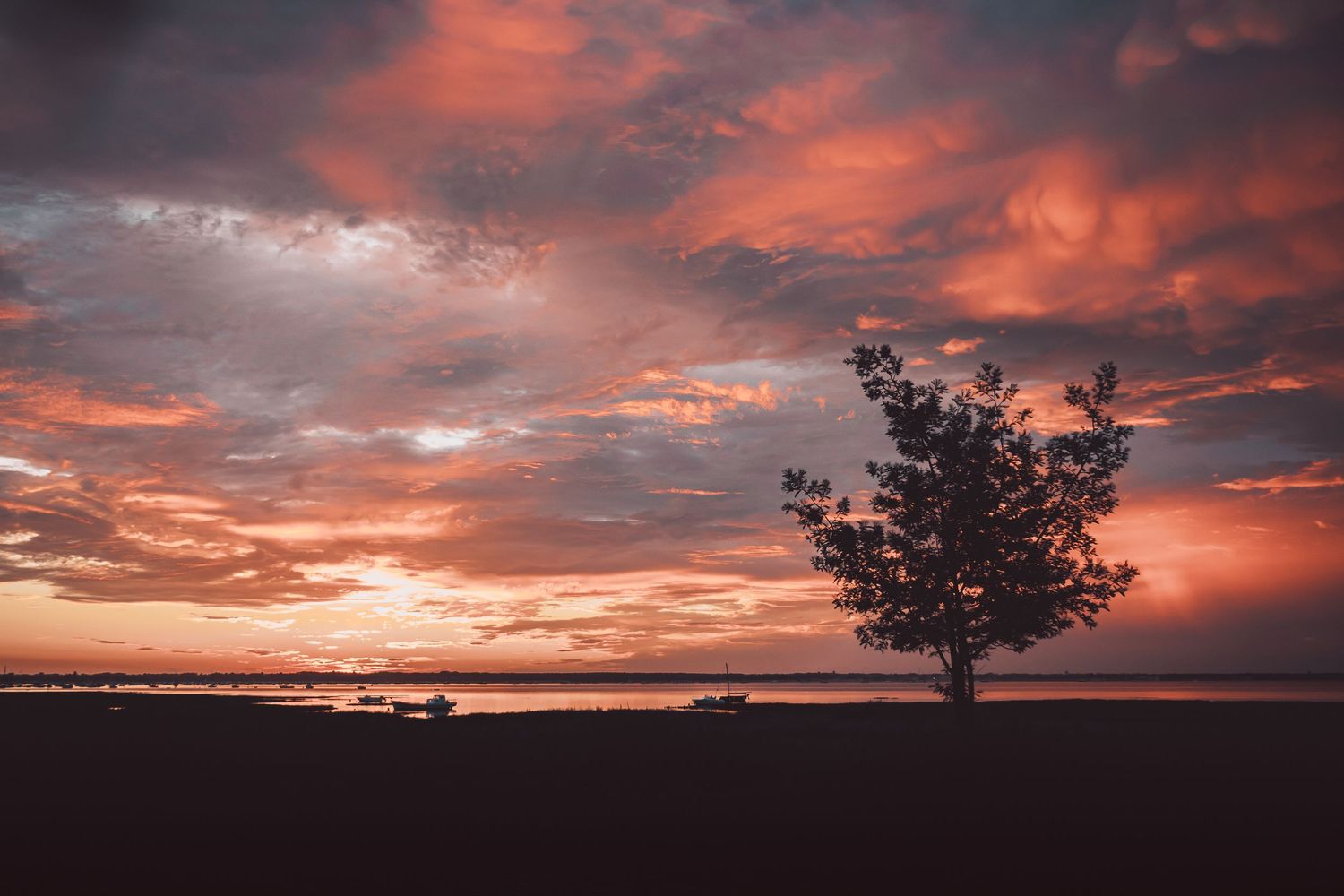 Dramatic orange sunset sky over silhouetted tree and calm water landscape in Arcachon, France.