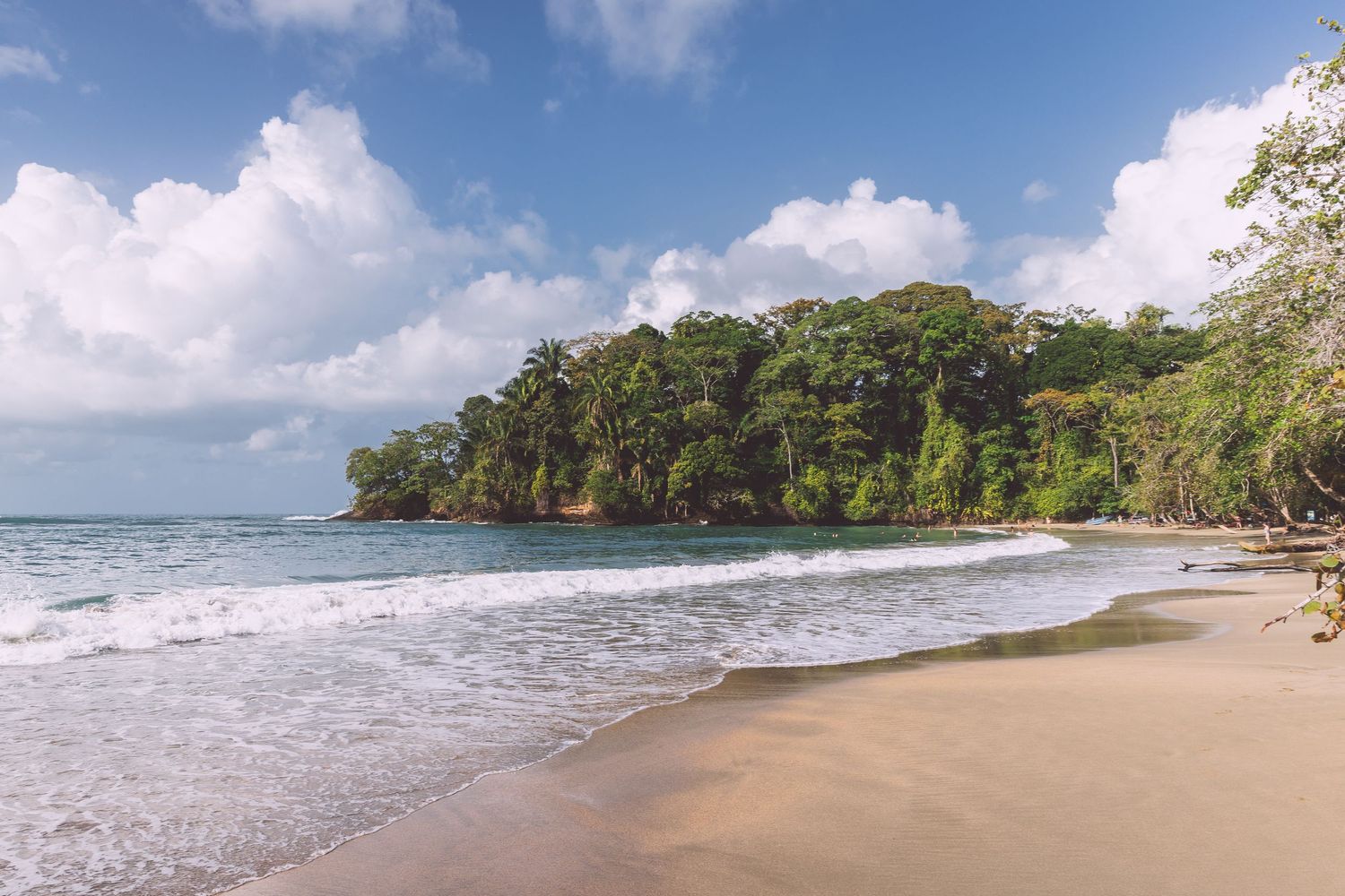 Pristine sandy beach with turquoise waters and lush tropical forest along the coastline in Costa Rica.