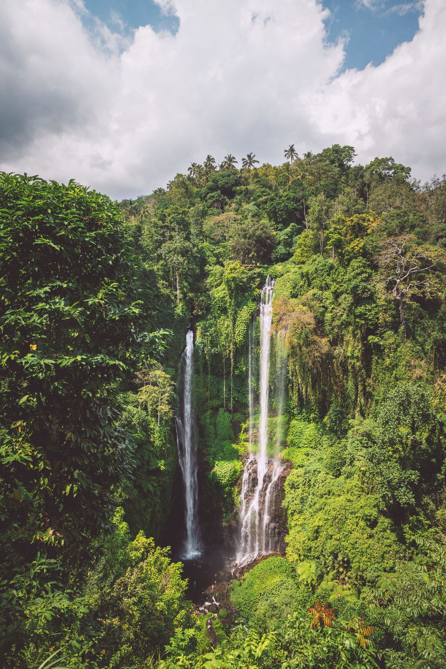 Towering tropical waterfall cascades through lush green rainforest vegetation in Costa Rica.
