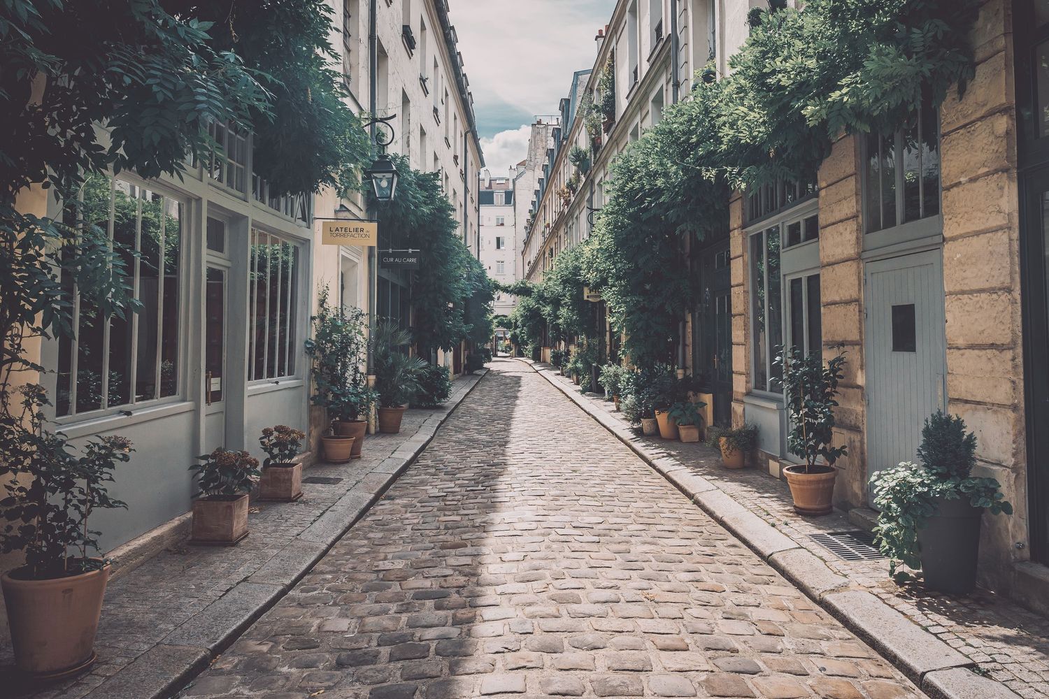 Charming cobblestone street lined with traditional Parisian buildings and plants.