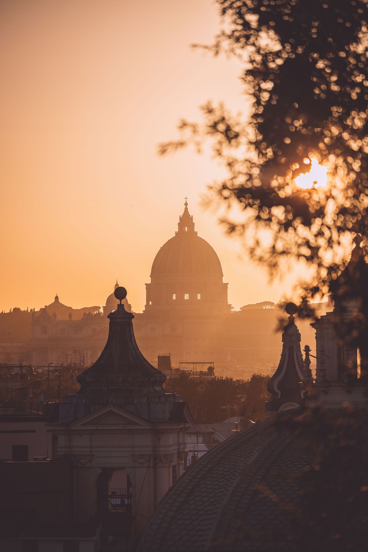Silhouette of St. Peter's Basilica dome during golden sunset in Rome in Roma, Italy.