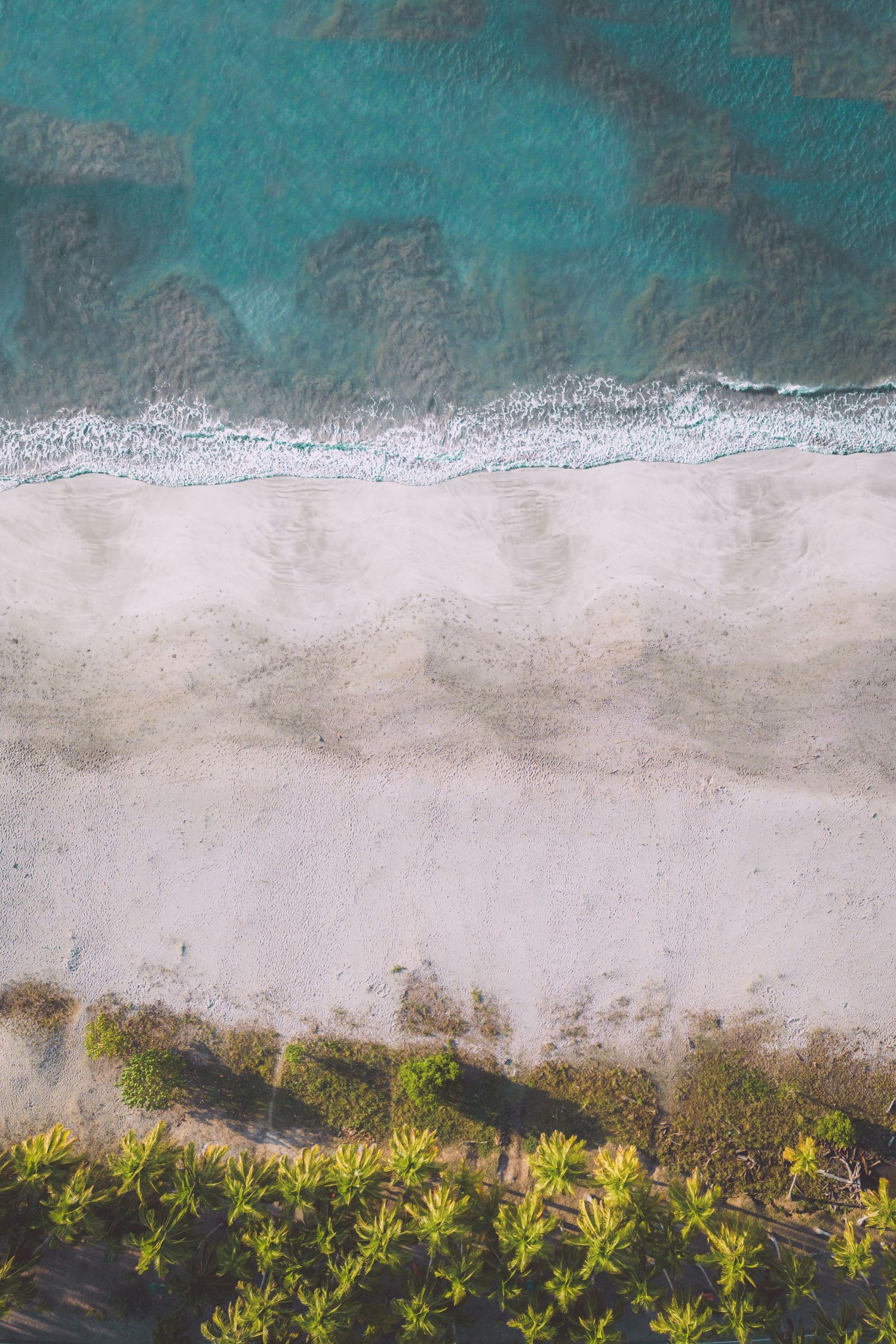 Aerial view of white sandy beach meeting turquoise ocean waters with palm trees lining the shore in Costa Rica.
